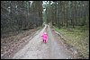 20070114-Mazury016.JPG