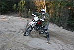 20081026-Poligon-44.JPG