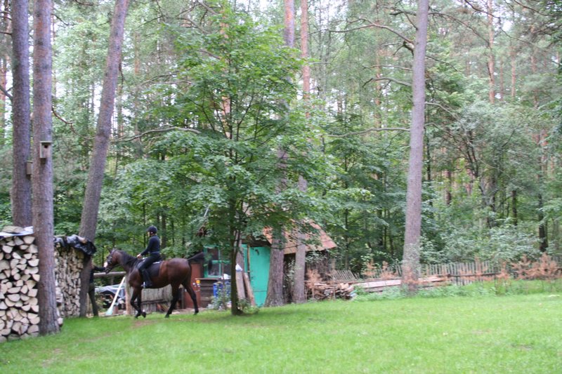 Dzialka-20050814 001.jpg