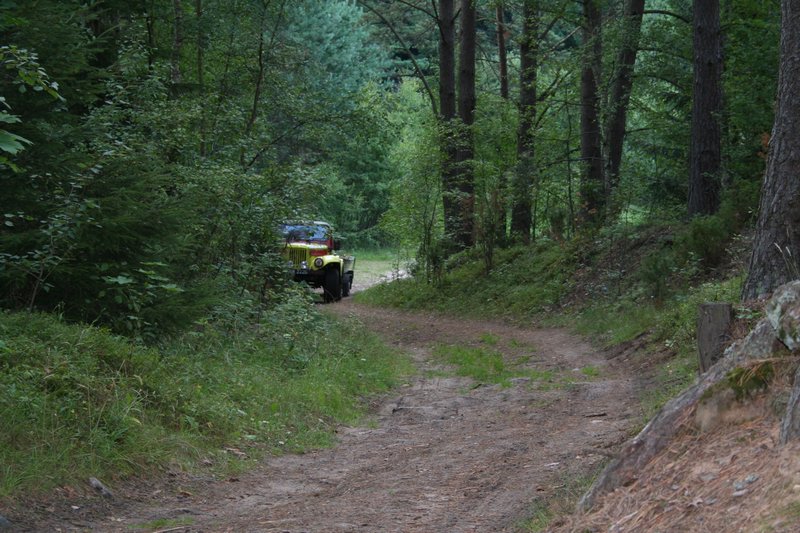 Dzialka-20050814 027.jpg