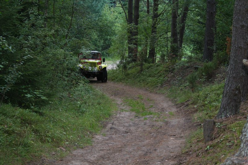 Dzialka-20050814 028.jpg