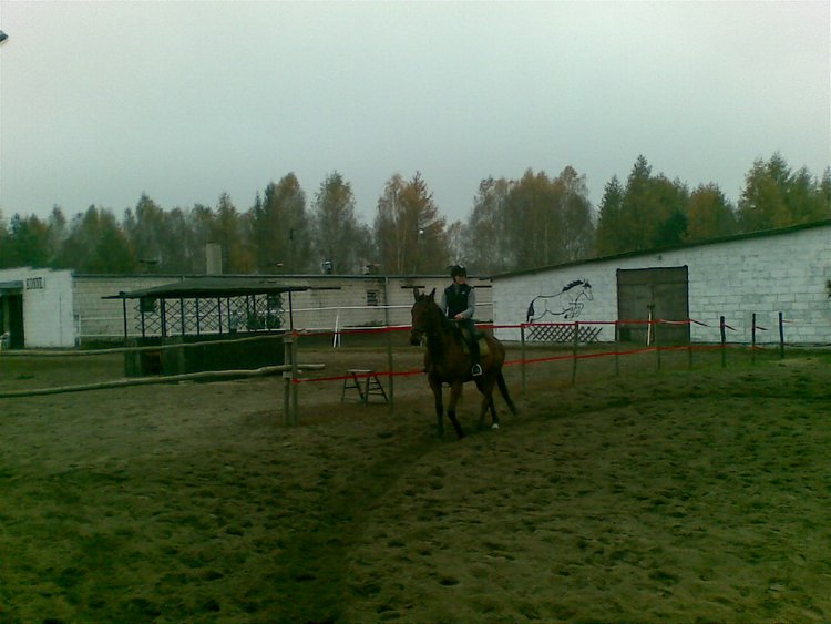Zdjŕcie032.jpg