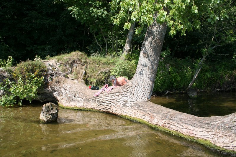 Mazury-20050802 026.jpg