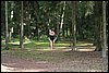 Mazury-20050802 062.jpg