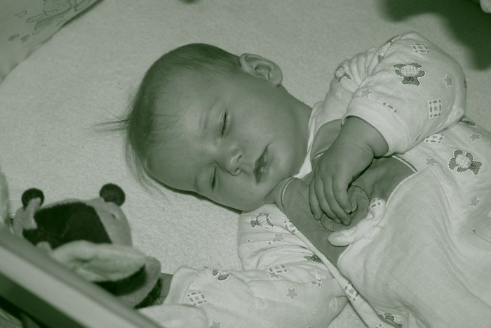 ludka04,092005 008.jpg