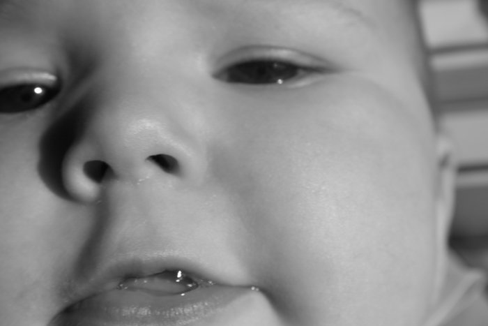 ludka04,092005 026.jpg