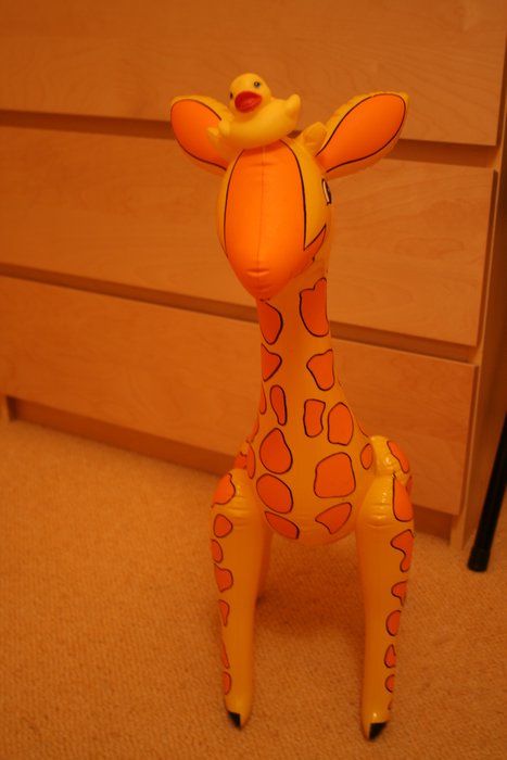 ludka04,092005 016.jpg