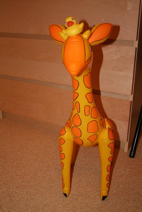 ludka04,092005 017.jpg